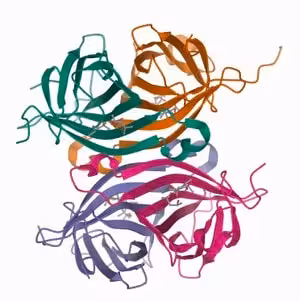 STREPTAVIDIN-AGAROSE 5 ML