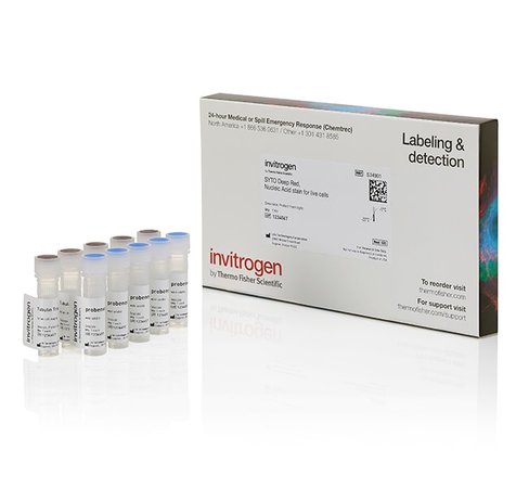 Syto deep red nucleic acid stain, for live cells-5 vials