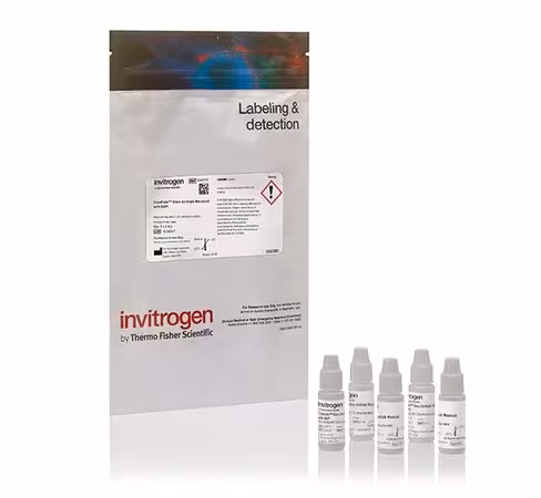 Slowfade glass soft-set antifade mountant with dapi-5 x 2 ml