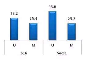 Cpgenome methylated rat dna standard 5 µg