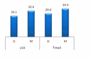Cpgenome unmethylated rat dna standard 1set 1 SET