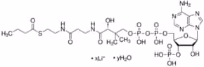 Butyryl coenzyme A lithium salt hydrate 90%, 5 µg