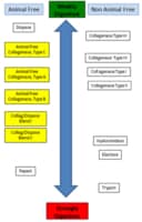 Animalfreecollagenasedispaseblend i 50 mg