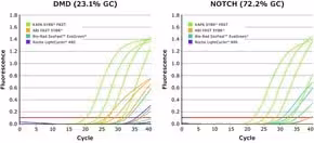 KAPA SYBR FAST suitable for qPCR, 2 ×, for LightCycler 480 (5 ml) 500 réactions