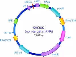 Mission non-target shrna control vector 1 EA