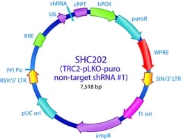 Trc2 transduction control dna plko-pur 1 EA