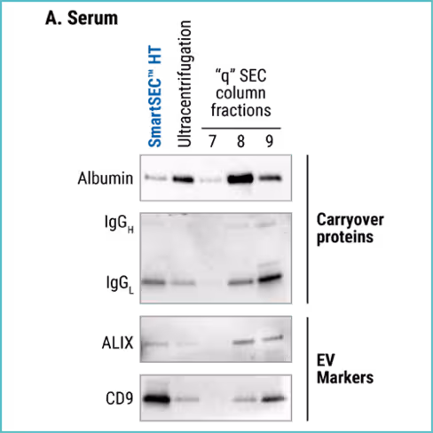Smartsec ht ev isolation system (for serum plasma) 96 rxns 96 réactions(s)