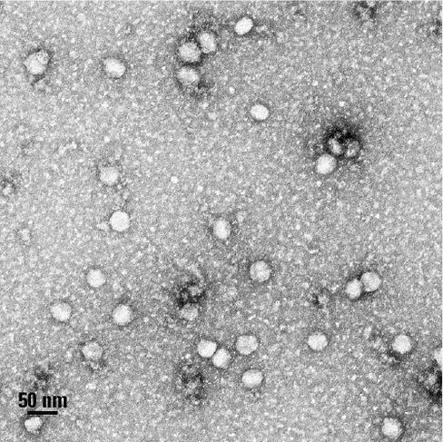 Smartsec mini ev isolation system10 rxns 10 réactions(s)