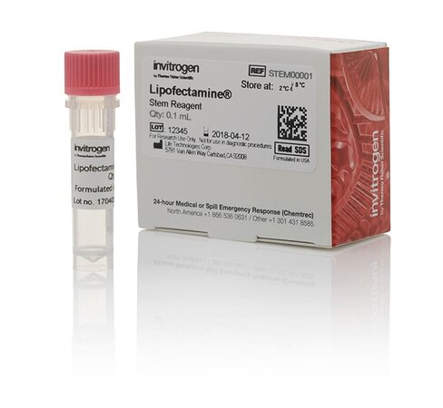Lipofectamine stem transfection reagent-0.1 ml