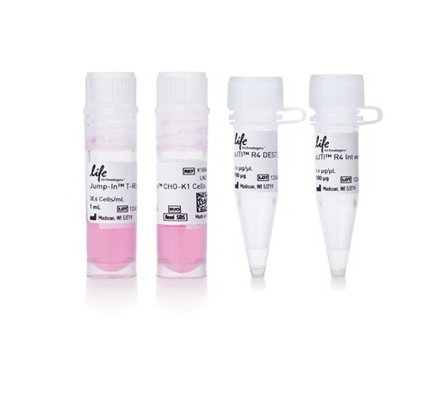 Jump in t-rex cho-k1 kit-1 kit