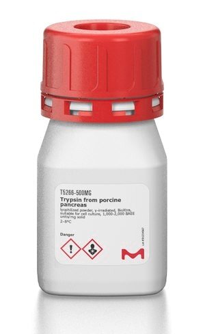 Porcine pancreas trypsin lyoph. gamma-irr. bioxtra suitable cell culture 500 mg