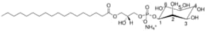 18:0 Lyso PI 1-stearoyl-2-hydroxy-sn-glycero-3-phospho inositol (ammonium salt), powder, 100 µg