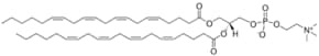 20:4 (Cis) PC 1,2-diarachidonoyl-sn-glycero-3-phosphocholine chloroform, 25 mg
