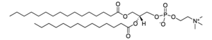 16:0-14:0 PC 1-palmitoyl-2-myristoyl-sn-glycero-3- phosphocholine, powder, 25 mg