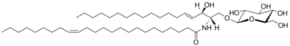 C24:1 Glucosyl(béta) Ceramide (d18:1/24:1(15Z)) Avanti Polar Lipids 860549P, powder, 5 mg