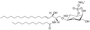 C12 Mono-Sulfo Galactosyl(béta) Ceramide (d18:1/12:0) Avanti Polar Lipids 860573P, powder, 1 mg