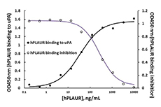 Recombinant Human PLAUR (uPAR) (carrier-free) 10 µg