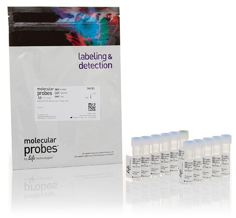 Vybrant cfda se cell tracer kit-1 kit