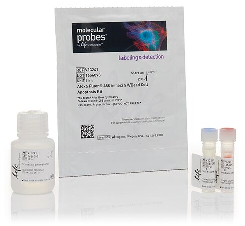 Dead cell apoptosis kit with annexin v alexa fluor 488 propidium iodide (pi)- 50 réactions
