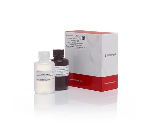 Novex ecl chemiluminescent substrate reagent kit-2 x 125 ml