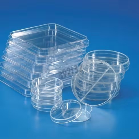 Boîte de Pétri stérile 4 secteurs 90 mm x 500