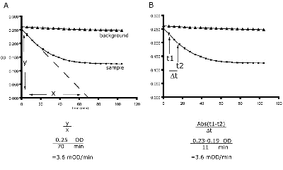 Kit de Dosage Microplaque de l'Activité Enzymatique du Complex IV humain 96 Tests
