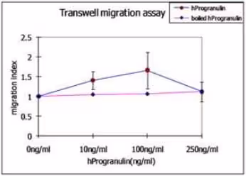 Lysat de Tissu Cardiaque Rat - Extrait Mitochondrial (contient du SDS/DTT) 50 µg