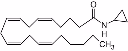 Kit ChIP - Plantes 48 Tests