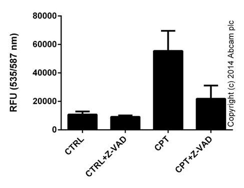Antagoniste glutamate site NMDA, D-AP5 10mg