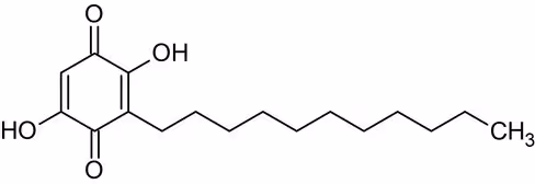 Antigène nucléaire EBV recombinant/protéine EBNA1 250 µg