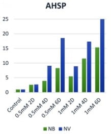 Cocktail d'Anticorps pour le Western Blot (pCdk/pHH3/Actin/PARP), cycle cellulaire et apoptose 200 µl