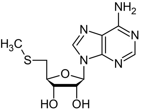 Kit de Dosage de l'Activité de la PKA Kinase 96 Tests