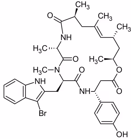 Inducteur de polymérisation et de stabilisation de l'actine, Jasplakinolide 50 µg