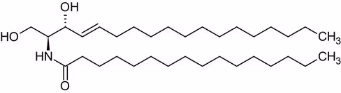 Inhibiteur du proteasome, MG-132 25 mg