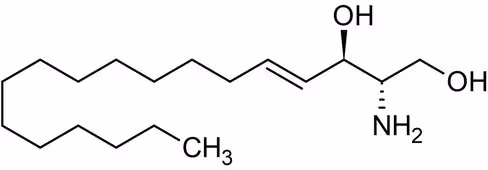 Marqueur de peroxydation lipidique, 4-Hydroxynonénal 1 mg