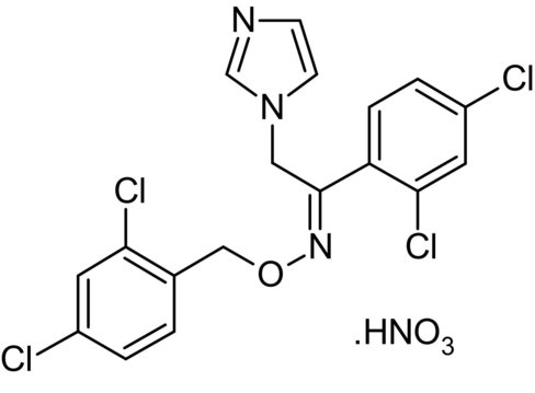 Analogue de la thymidine, BrdU (5-bromo-2 -désoxyuridine) 1 g