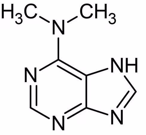 Inhibiteur de HIF-1alpha, CAY10585 10 mg