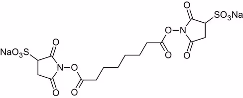 Agent réticulant BS3, pour réticulation d'amines primaires 50 mg