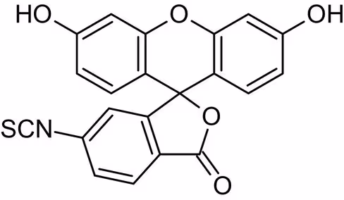 Analogue 4-acétyle de la L-phénylaniline, Chlorhydrate de 4-acétyl-L-phénylalanine 250 mg