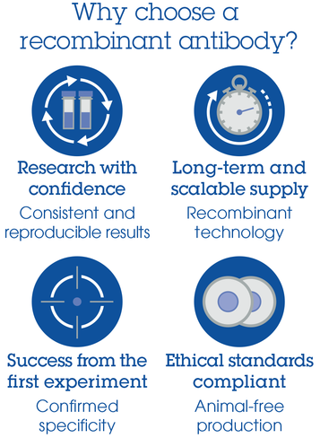 Kit de Dosage Triglycéride (Fluorométrique, Pour échantillons avec agents reducteurs) 100 Tests