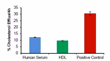 Kit de Dosage efflux Cholestérol (Cell-based) 100 Tests