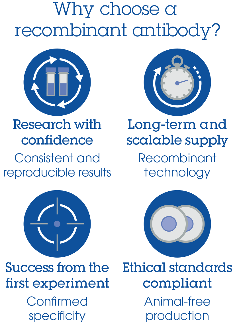 Kit ELISA Souris Complément C5a 96 Tests