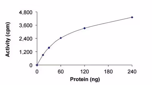 Kit de Dosage Angiogenèse (In Vitro) 50 Tests