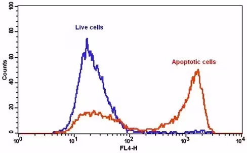 Kit de Detection de l'Apoptose Annexin V-iFluor 647 100 Tests