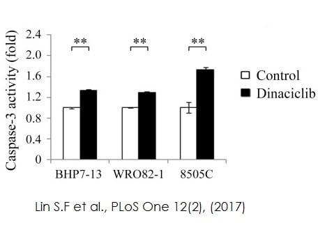 Kit de Dosage Caspase-3 (Fluorométrique) 100 Tests