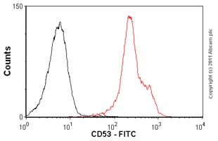 Kit de Dosage Phosphate (Colorimétrique) 500 Tests