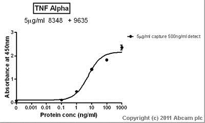 Protéine recombinante humain TNF alpha 10 µg