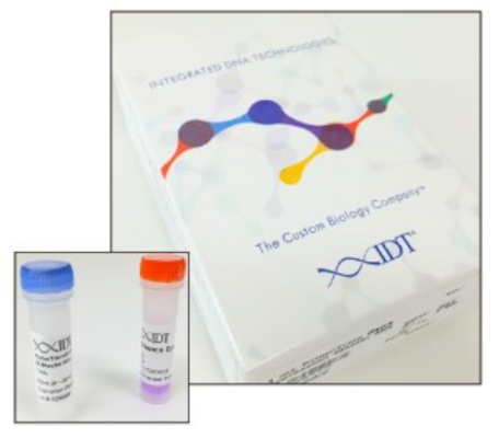 25 mL PrimeTime Gene Expression Master Mix