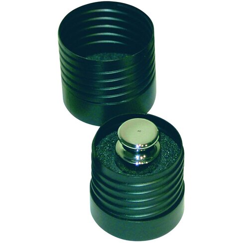 Poids étalon individuel F1 10 g