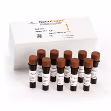 Ivisbrite coelenterazine h - rediJect solution_substrat de coelenterazine h prêt à l'emploi (xenolight), (10 vials)
